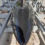 zephyr_12